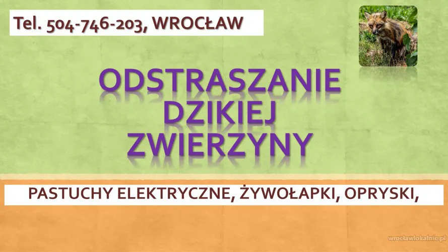 Odstraszanie dzikich zwierząt ? kuna, dzik, sarna, lis, Wrocław,