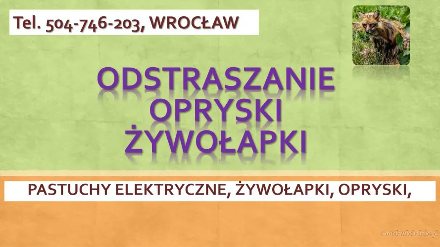 3_zabezpiecznie_przed_lisem_kunom_wroclaw_pastuch.webp