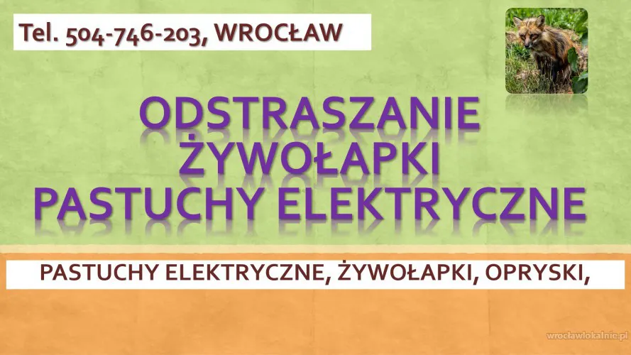 4_odstraszacze_na_lisy_kuny_dziki_wroclaw.webp