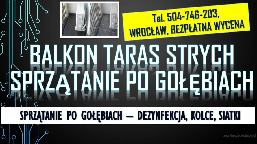 1_golebie_balkon_sprzatanie_wroclaw.webp