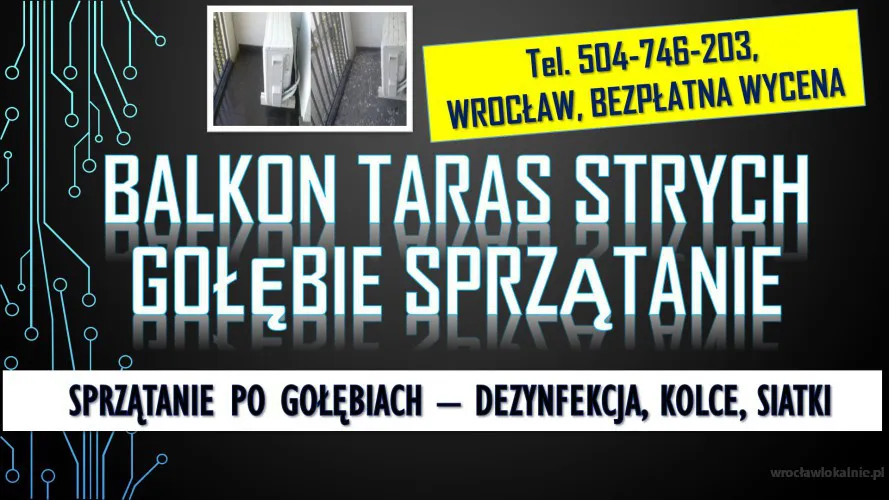 4_dezynfekcja_kolce_siatki_na_ptakii_golebie_wroclaw.webp