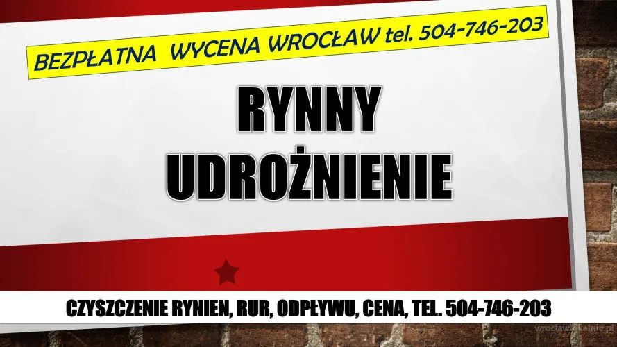 3_oczyszczenie_rynnien_wroclaw_cena3.webp