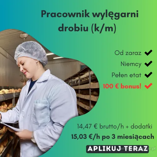 pracownik-fizyczny-wylegarnia-drobiu-niemcy-99749.webp