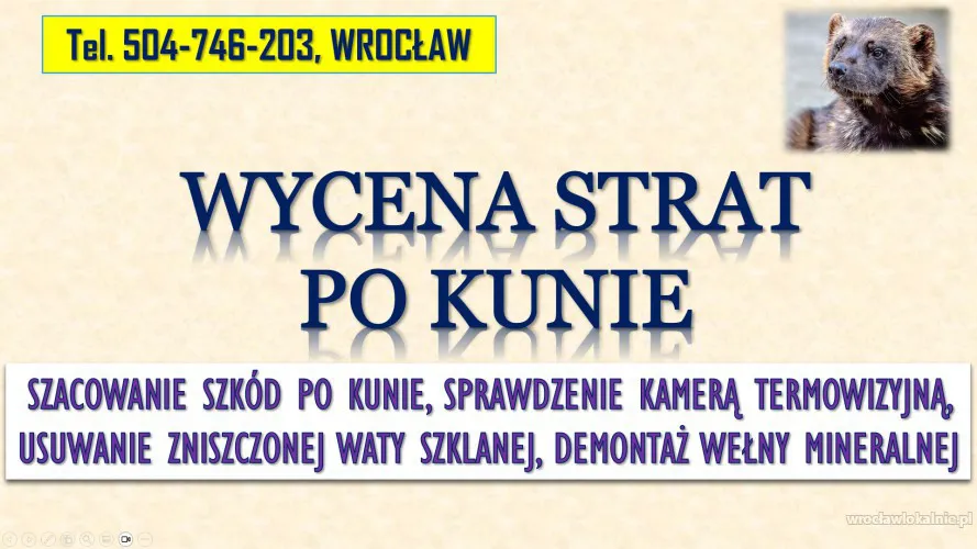 2_wycena_zniszczen_ocieplenia_po_kunie_na_dachu_wroclaw.webp