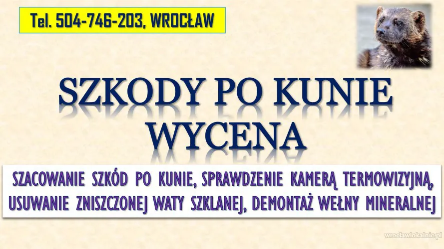 3_szkoda_po_kunie_oszacowanie_strat_koszty_naprawy_dachu_wroclaw.webp