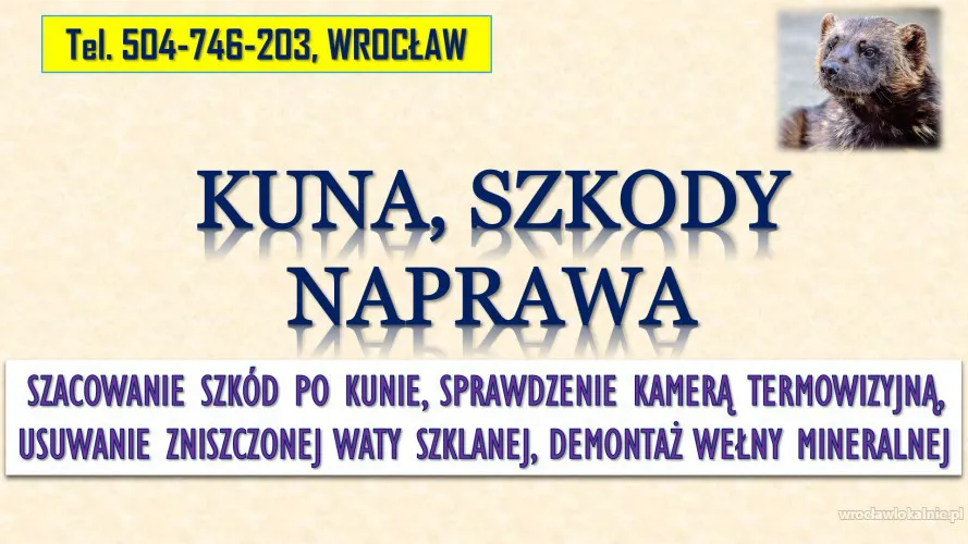 4_koszt_naprawy_dachu_wymiany_ocieplenia_welny_waty_wroclaw.webp