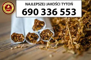 Znakomitej jakości TYTOŃ 80PLN/1KG