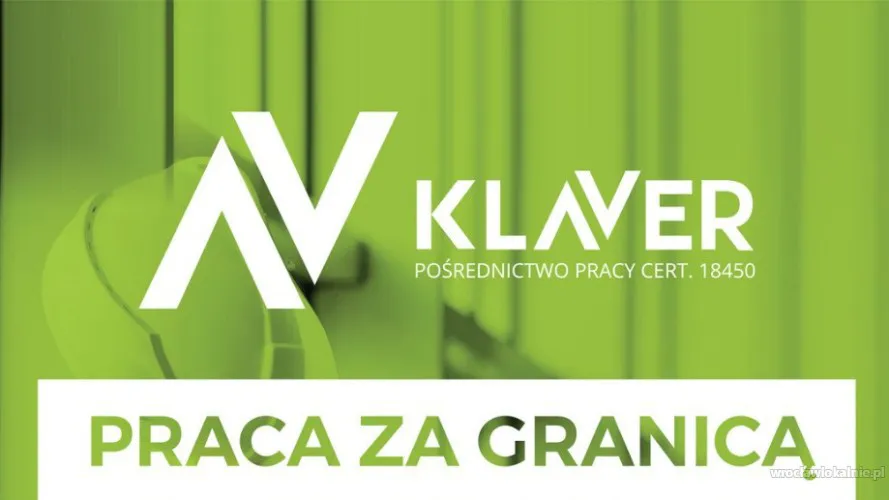 produkcja-kwiaty-pralnia-praca-holandia-nieuw-vennep-102353.webp