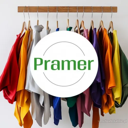 logo_pramer_3.webp