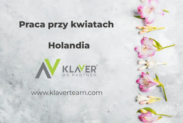 Praca w Holandii przy kwiatach - bez doświadczenia i języka!