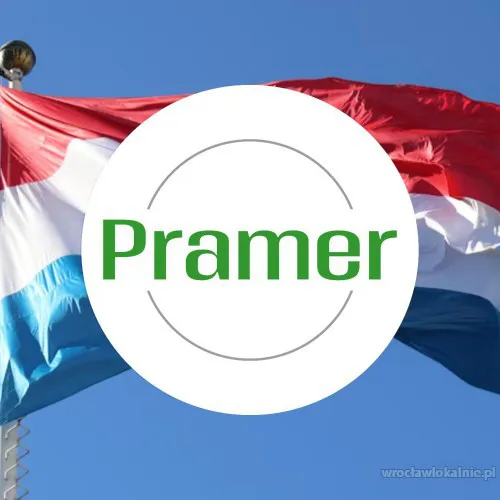 Pramer_kwadrat_8_holandia.webp