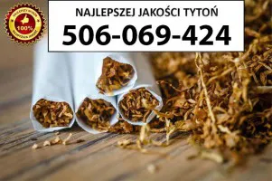 Bardzo Dobrej Jakości TYTOŃ 85 PLN/1KG