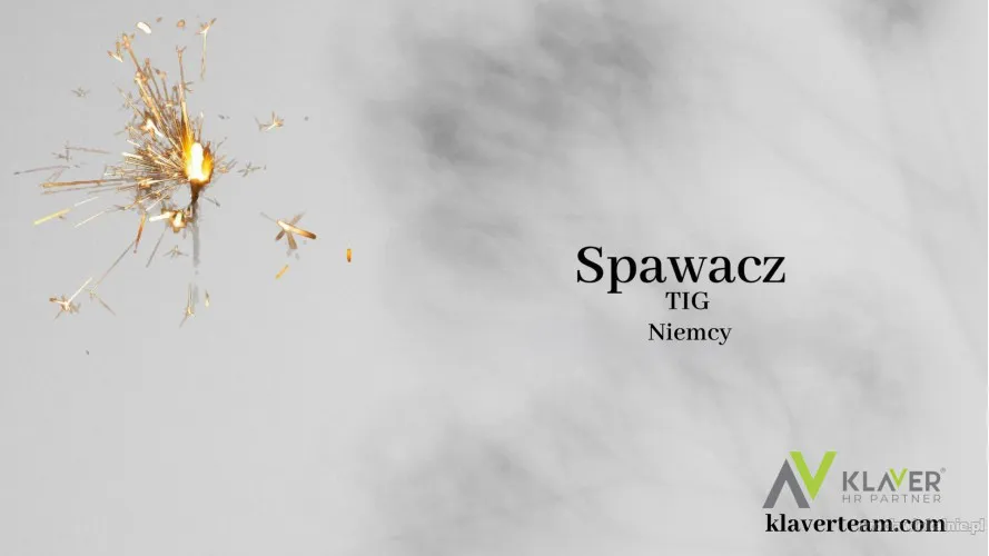 spawacz-tig-niemcy-lueneburg-102896.webp