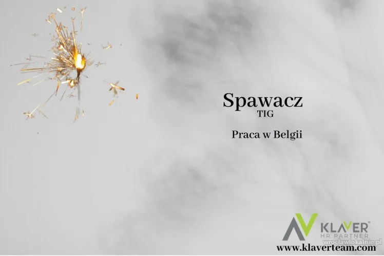 spawacz-tig-praca-w-belgii-zwrot-kosztow-za-przejazd-102940.webp