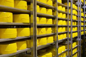 Praca za granicą - wiele ofert Holandia, Niemcy, Belgia Praca za granicą - wiele ofert Holandia, Niemcy, Belgia