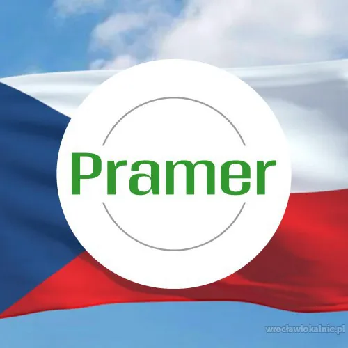 Pramer_kwadrat_8_czechy1.webp