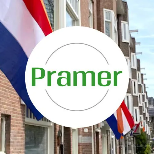 Pracownik magazynu - order picker (Zwolle) dla par/singli
